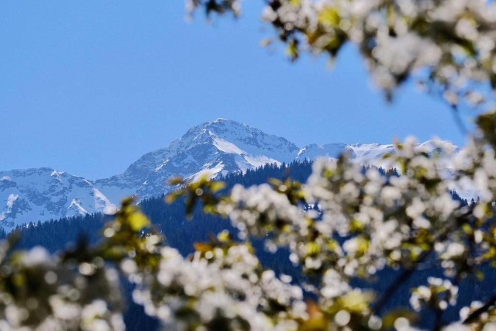 Appartement 75M2 Duplex Au Coeur Du Village De Queige Exteriör bild
